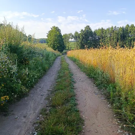 Nobles W Spokojnej Okolicy W Poblizu Jeziora Apartmán Mierzejewo (Warmian-Masurian)