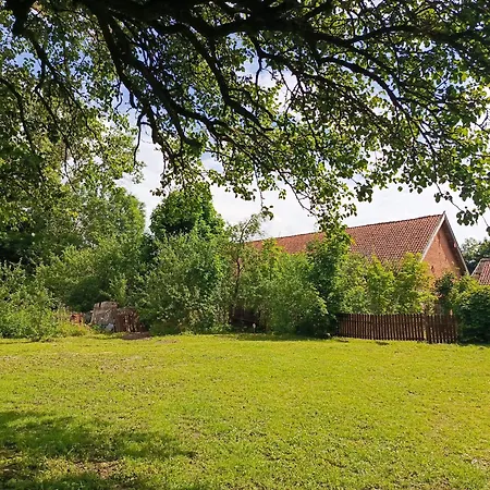 Nobles W Spokojnej Okolicy W Poblizu Jeziora * Mierzejewo (Warmian-Masurian)